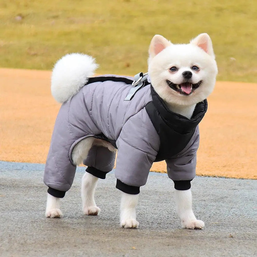 Winter Waterproof Pets Clothes Warm Thicken Dog Jacket with D Ring Puppy Coats for Small Medium Dogs Jumpsuit Chihuahua Overalls - Trusted Pet Products