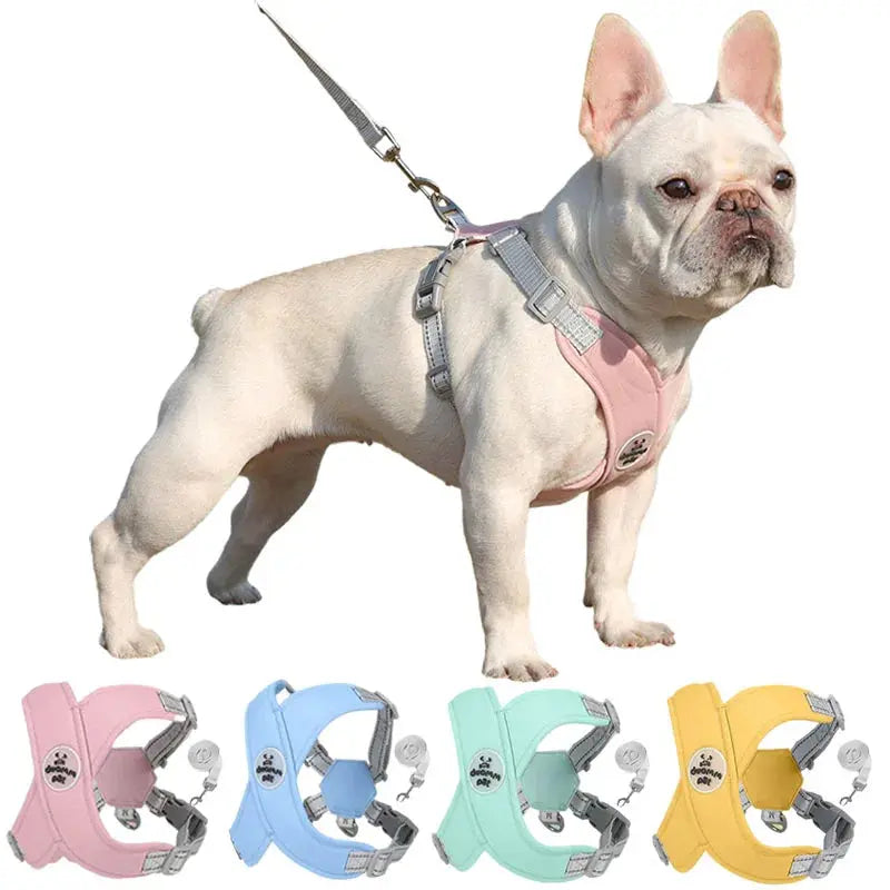 X Shaped Breathable Mesh Leash and Vest Harness Set for Small and Medium Dogs Trusted Pet Products