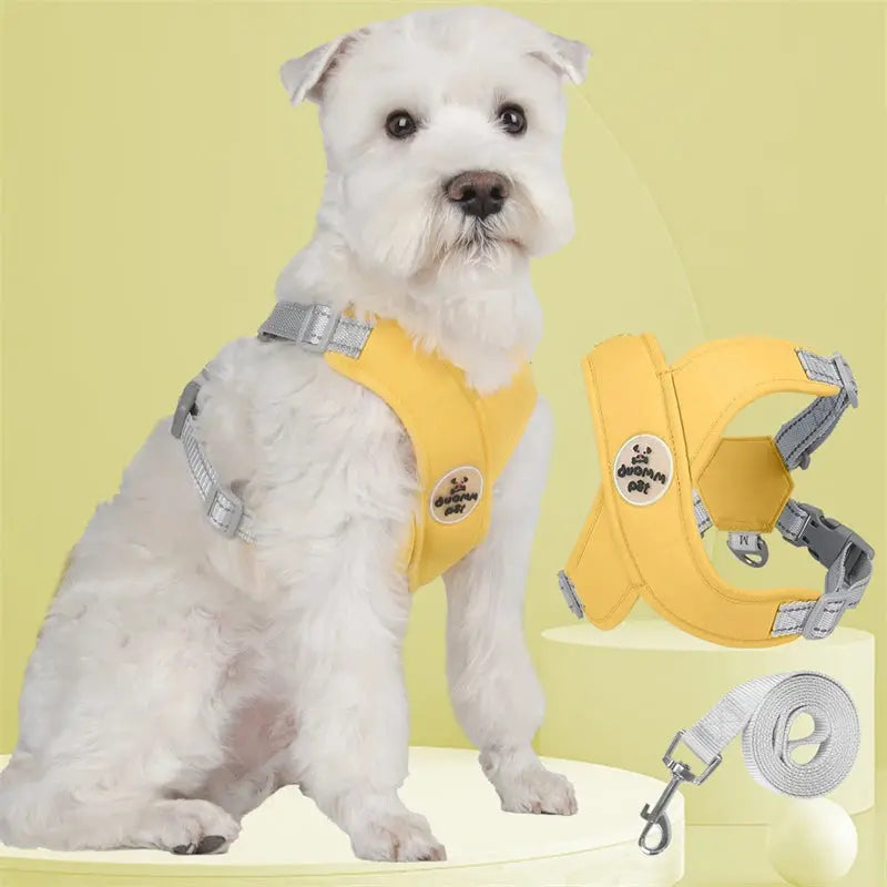 X Shaped Breathable Mesh Leash and Vest Harness Set for Small and Medium Dogs Trusted Pet Products