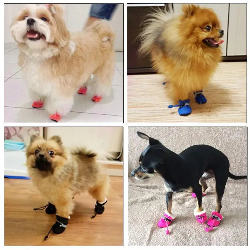 4 pieces / set of new winter reflective warm pet shoes dog snow boots non-slip waterproof cat and dog protection paws essential - Trusted Pet Products